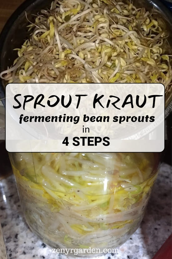 Sprout Kraut: Fermenting Mung Bean Sprouts in 4 Steps